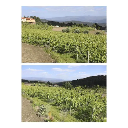 Сasa de vacaciones Casa Do Lagar Agilde