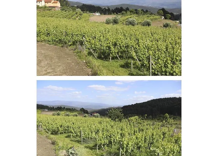 度假居 Casa Do Lagar Agilde